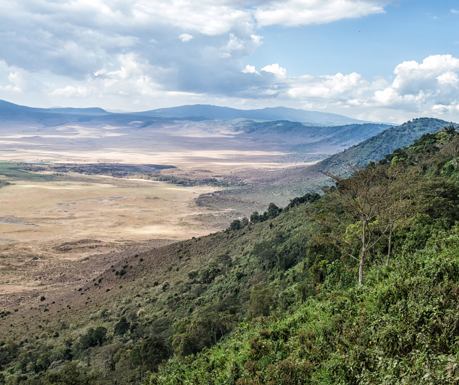 Jeep safari al tramonto in Tanzania